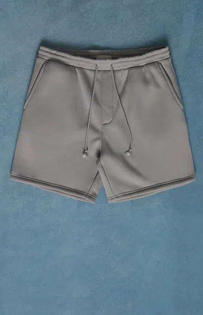 Pacsun Men's Light Gray Fleece Volley Sweat Shorts In Silver