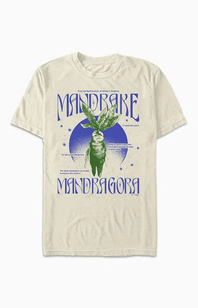 Pacsun Men's Mandrake Mandragora T-shirt In Ivory In White