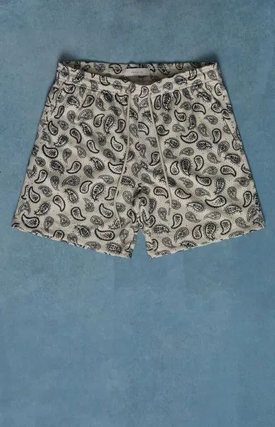 Pacsun Men's Paisley Mesh Shorts In Cream In Green