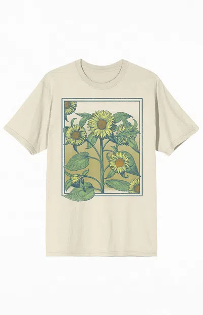 Pacsun Men's Sunflower Frame T-shirt In Nude In Brown