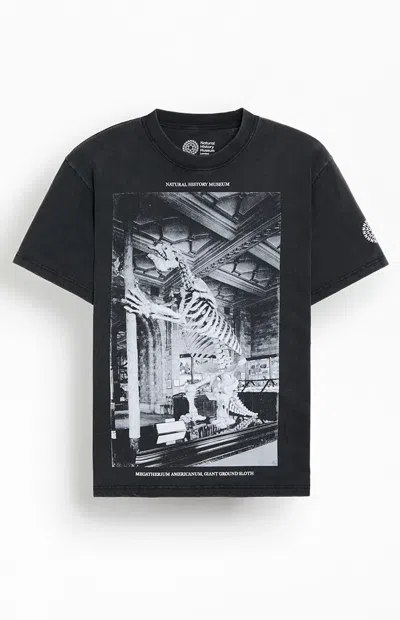 Pacsun Nhm Dinosaur Fossil T-shirt In Washed Black