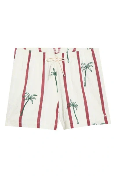 Pacsun Palm Embroidered Stripe Swim Trunks In White