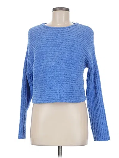 Pre-owned Pacsun Pullover Sweater In Blue