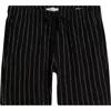 Pacsun Russel Stripe Volley Shorts