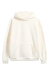 Pacsun Solid Hoodie In Neutral