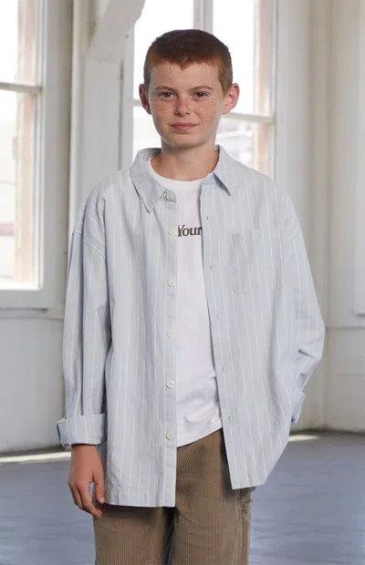 Pacsun Striped Oxford Long Sleeve Shirt In Blue/white