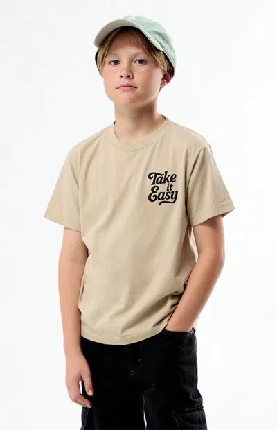 Pacsun Kids' Take It Easy Embroidered T-shirt In Taupe In Neutral