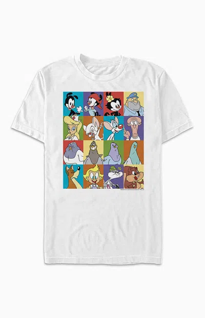 Pacsun Women's Animaniacs Character Boxes T-shirt In White