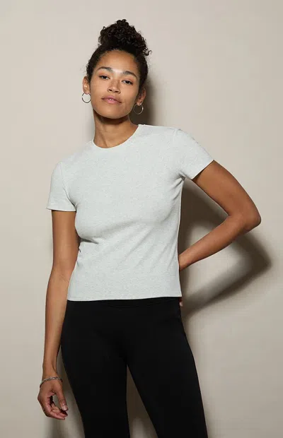 Pacsun Women's Carolyn Cotton Crew Neck T-shirt In Heather Gray In Blue