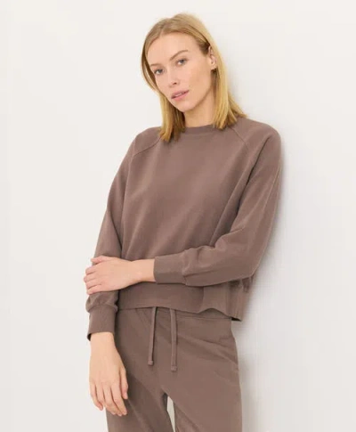 Pact Cloudknit Raglan Crew In Brown