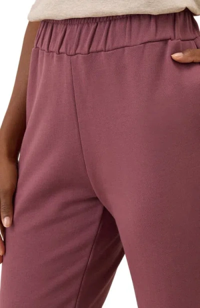 Pact Organic Brushed Fleece Sweatpant