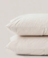Pact Organic Cool-air Percale Sham 2-pack In Beige