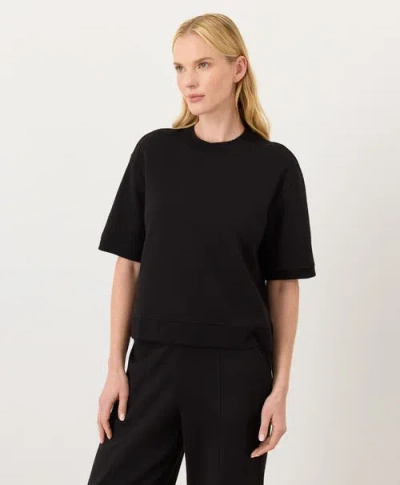 Pact Organic Cotton Airplane Sweatshirt Tee In Black