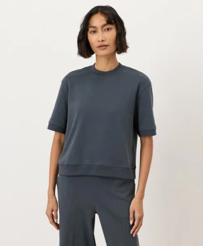 Pact Organic Cotton Airplane Sweatshirt Tee In Blue