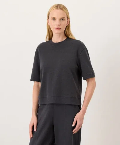 Pact Organic Cotton Airplane Sweatshirt Tee In Gray