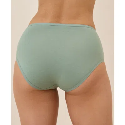 Pact Organic Cotton Everyday High Rise Brief 6-pack