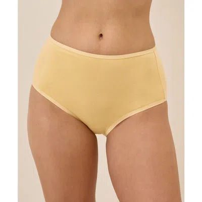 Pact Organic Cotton Everyday High Rise Brief 6-pack