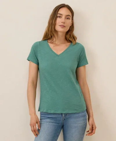 Pact Organic Cotton Featherweight Slub V-neck Tee