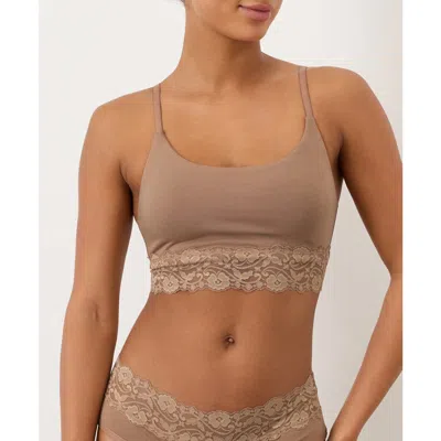 Pact Organic Cotton Lace Modern Scoop Bralette In Brown