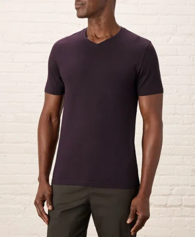 Pact Organic Cotton Luxe Stretch Jersey Slim V-neck Tee In Plum