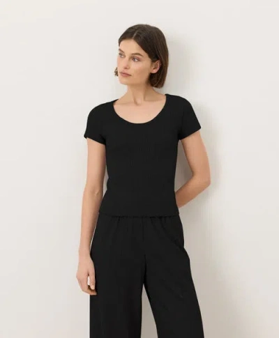 Pact Organic Cotton Pointelle Scoop Neck Tee In Black