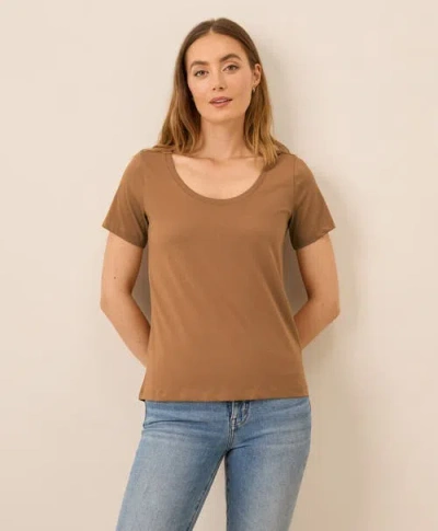 Pact Organic Cotton Softspun Scoop Neck Tee In Brown
