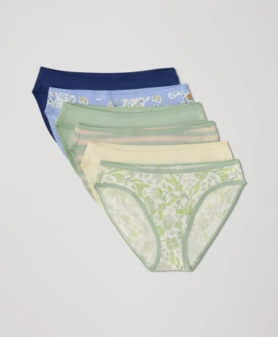 Pact Organic Everyday Classic Fit Bikini 6-pack In Tourist