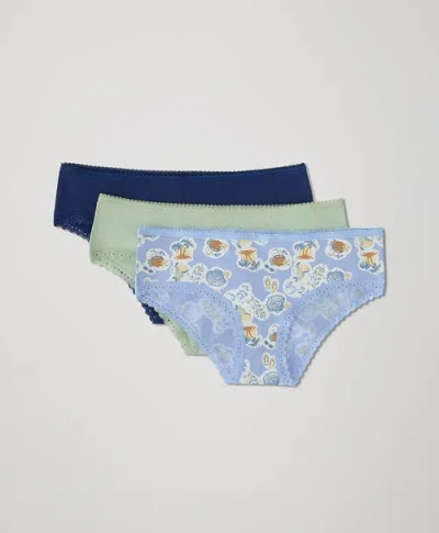 Pact Organic Lace Cheeky Hipster 3-pack In Sea Shells