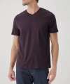 Pact Organic Softspun V-neck Tee In Plum