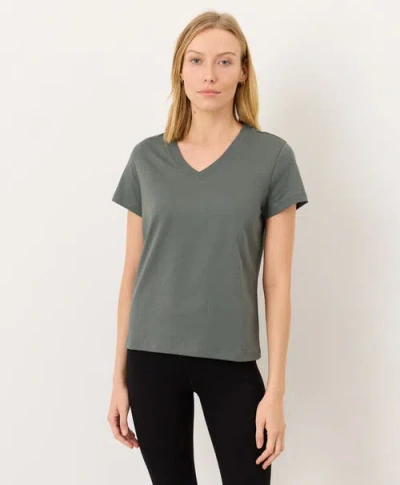 Pact Softspun Essential V-neck Tee In Gray