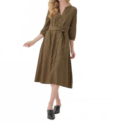 Pact Sunset Cotton Easy Dress In Camel Stripe In Green