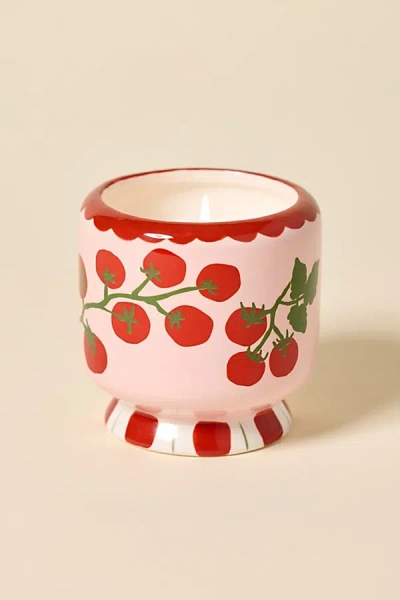 Paddywax A Dopo 8 oz Scented Candle In Heirloom Tomato At Urban Outfitters In Pink