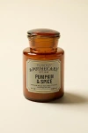 Paddywax Apothecary 8 oz Scented Candle In Pumpkin/spice At Urban Outfitters