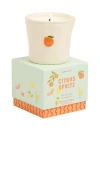 Paddywax Bistro Boxed Ceramic Candle In Neutral