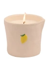 Paddywax Bistro Candle In Multi