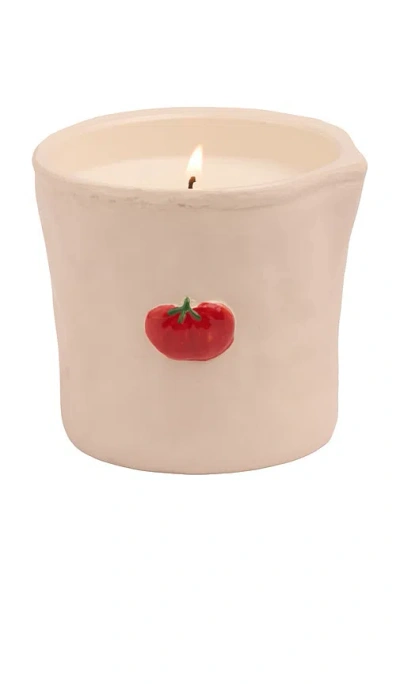Paddywax Bistro Candle In Heirloom Tomato