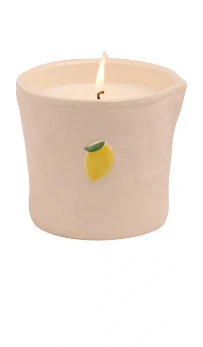 Paddywax Bistro Candle In Meyer Lemon