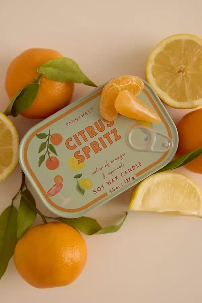 Paddywax Bistro Citrus Spritz Tin Candle In Orange