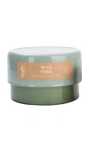 Paddywax Botany Candle In Wild Fern