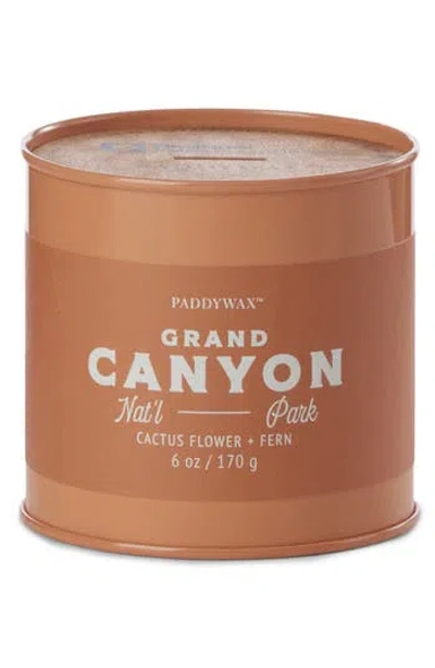 Paddywax Parks 6 Oz. Candle In Brown