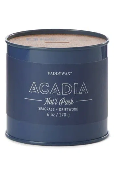 Paddywax Parks 6 Oz. Candle In Blue