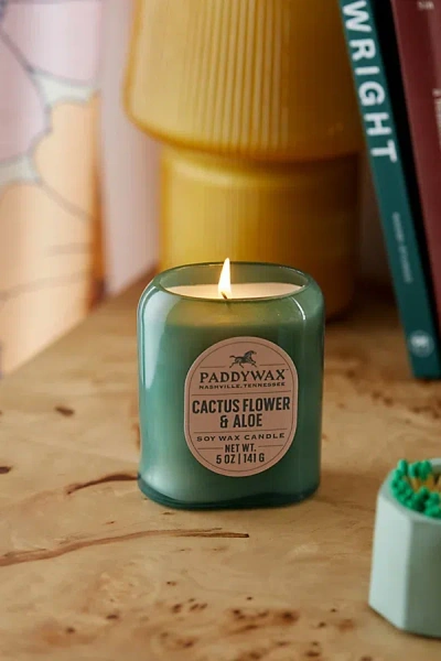 Paddywax Vista 12 oz Candle In Cactus Flower At Urban Outfitters In Green