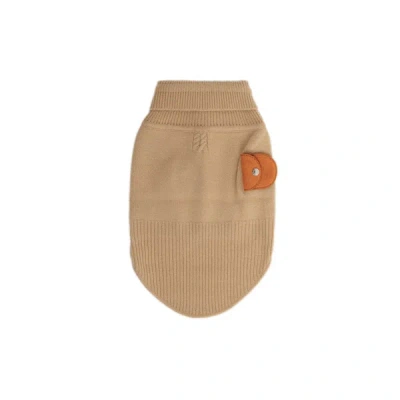 Pagerie Cashmere Dog Jumper In Brown