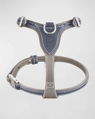 Pagerie Petite Leather Dog Harness In Blue