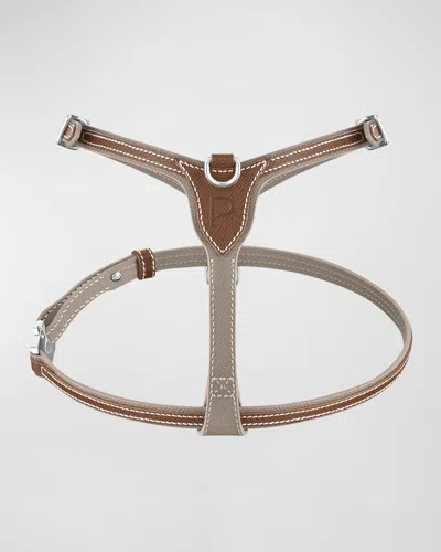 Pagerie Petite Leather Dog Harness In Walnut