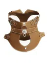 Pagerie The Colombo Harness In Saddle