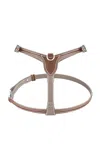 Pagerie The Petite Harness In Brown