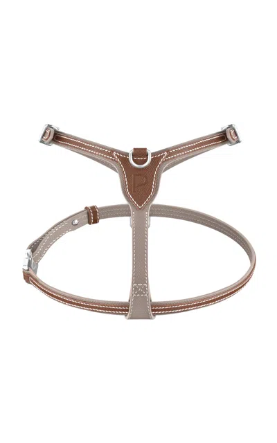 Pagerie The Petite Harness In Brown