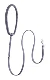 Pagerie The Rava Leash In Gray