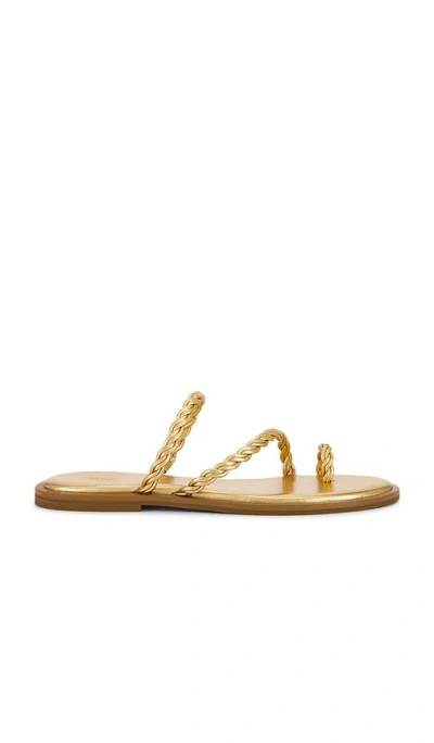 Paige Allegra Sandal